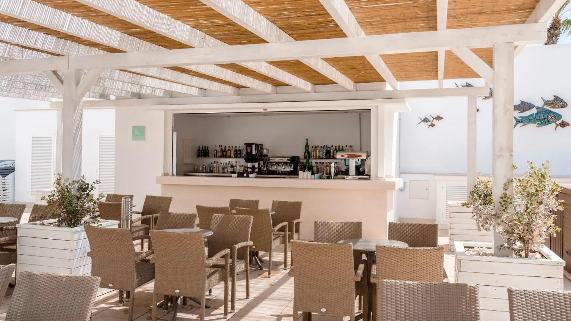 Hotel Alua Gran Camp De Mar